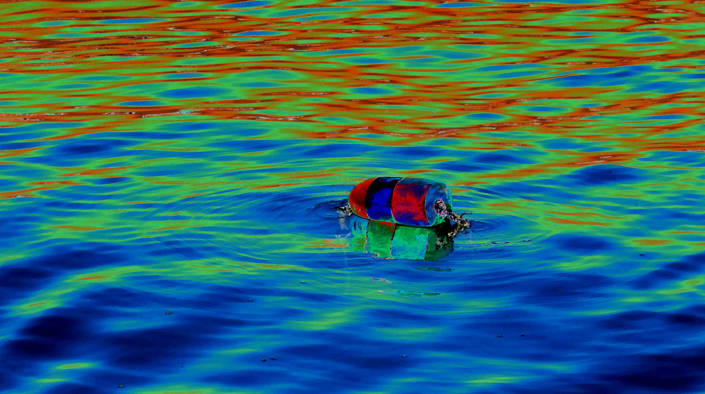 Buoy